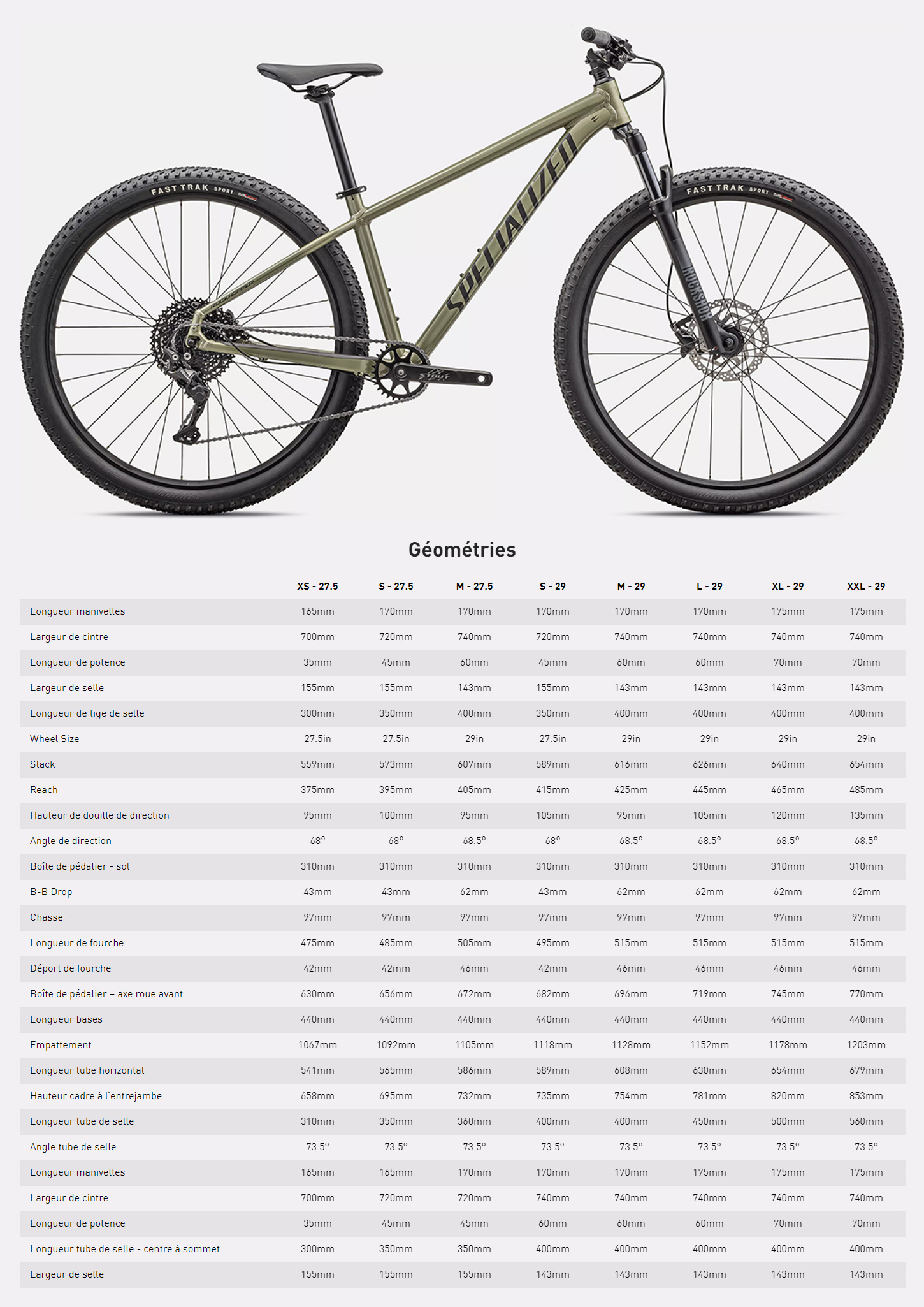 Guide de taille du vélo Rockhopper Comp année 2025